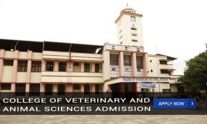 COLLEGE OF VETERINARY AND ANIMAL SCIENCES Admission