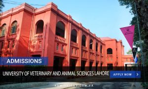 University Of Veterinary and Animal Sciences Lahore
