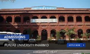 Punjab University Pharm D