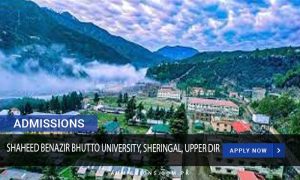 Shaheed Benazir Bhutto University, Sheringal Upper Dir