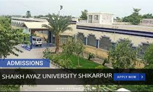 shaikh ayaz university shikarpur