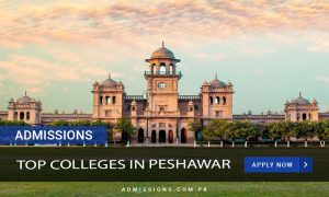 Top Colleges in Peshawar 2024